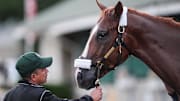 American Promise will race in the Preakness Stakes