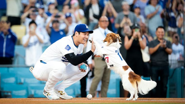 Decoy high-fives his owner Shohei Ohtani of the Los Angeles Dodgers after he carries out the first pitch before the game against the Baltimore Orioles.