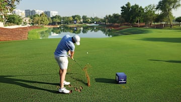 Rory McIlroy - DP World Tour Championship 2024