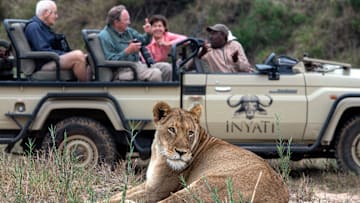 Wildlife Tourism Rebounds As Visitors Return To South Africa