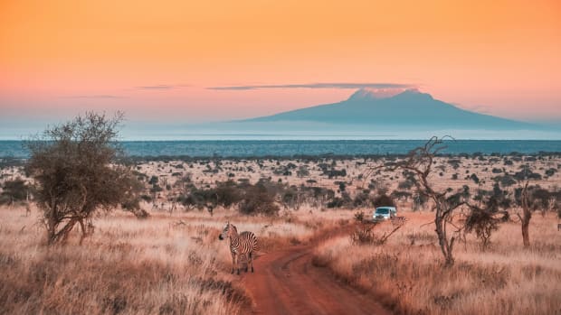 A view of Kilimanjaro from safari