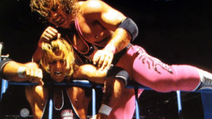 Bret Hart wrestled Owen Hart in a steel cage at SummerSlam in 1994