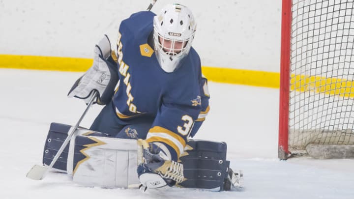 Hermantown plays Hibbing in the Section 7A semifinals on February 22. Hermantown plays Hibbing in the Section 7A semifinals on February 22.