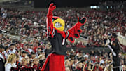 Louisville Cardinal cheers on the Cards against Boston College Saturday night at L&N Stadium.