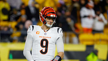 Cincinnati Bengals v Pittsburgh Steelers