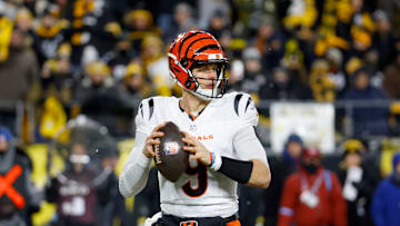Cincinnati Bengals v Pittsburgh Steelers