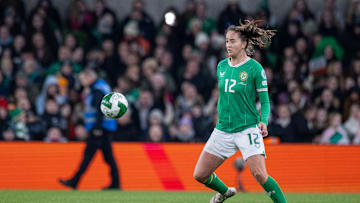 Republic of Ireland V Wales, European Championship play-off, second leg.