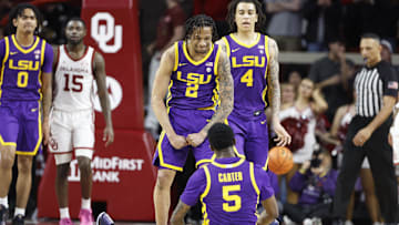 Feb 15, 2025; Norman, Oklahoma, USA; LSU Tigers guard Mike Williams III (2) reacts after guard Cam Carter (5) scores against the Oklahoma Sooners during the second half at Lloyd Noble Center. Mandatory Credit: Alonzo Adams-Imagn Images