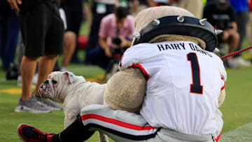 Live mascot, Uga XI, known as    Boom,    is greeted by costumed mascot,    Hairy Dawg,    during the fourth quarter of an NCAA Football game Saturday, Oct. 28, 2023 at EverBank Stadium in Jacksonville, Fla. Georgia defeated Florida 43-20. [Corey Perrine/Florida Times-Union]