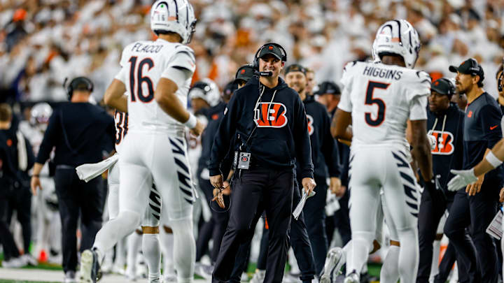 Pittsburgh Steelers v Cincinnati Bengals - NFL 2025