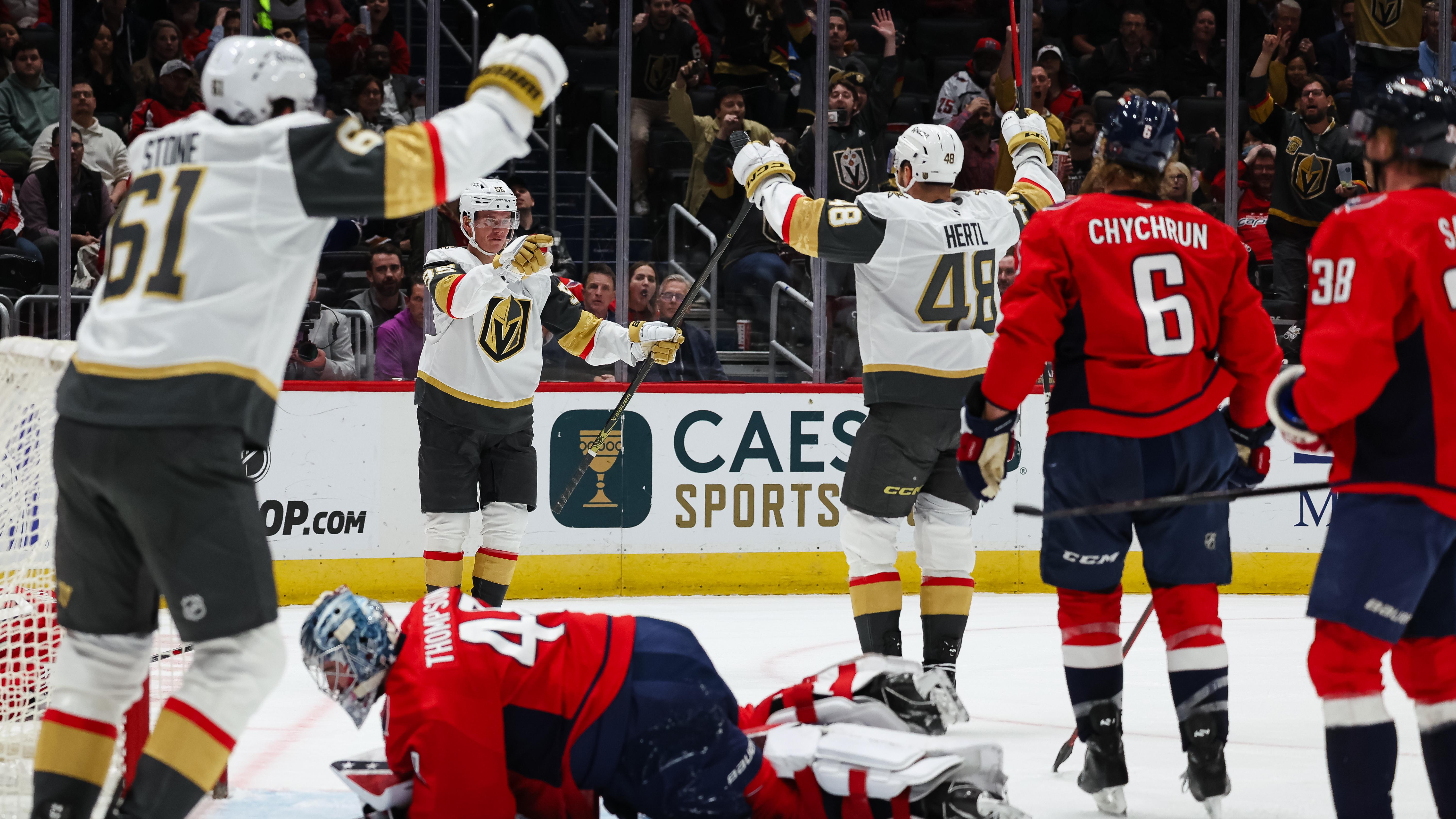 My experience at VGK Fan Fest