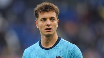 Fisnik Asllani im Shirt der TSG Hoffenheim Fisnik Asllani im Shirt der TSG Hoffenheim