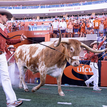 Texas mascot Bevo walks out before a game.