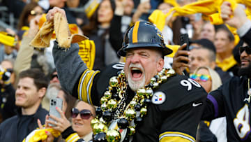 Baltimore Ravens v Pittsburgh Steelers