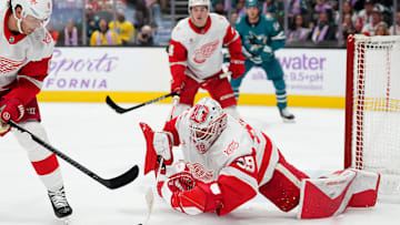The Detroit Red Wings goaltending situation could be the biggest factor dragging the club's playoff chances down.