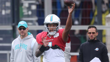 Miami Dolphins Training Session