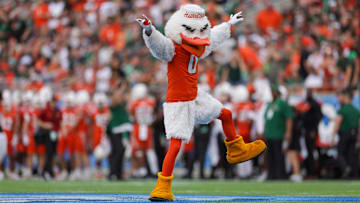 Dec 28, 2024; Orlando, FL, USA; Miami Hurricanes mascot Sebastian the Ibis entertains the fans during the Pop Tarts bowl against the Iowa State Cyclones at Camping World Stadium. Mandatory Credit: Nathan Ray Seebeck-Imagn Images