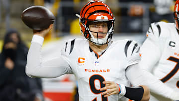 Cincinnati Bengals v Pittsburgh Steelers