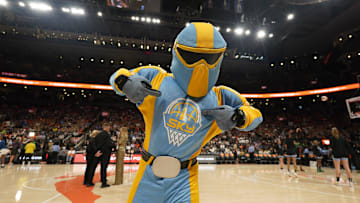 May 13, 2023; Toronto, Ontario, Canada; The Chicago Sky mascot before a game against the Minnesota Lynx at Scotiabank Arena. Mandatory Credit: John E. Sokolowski-USA TODAY Sports
