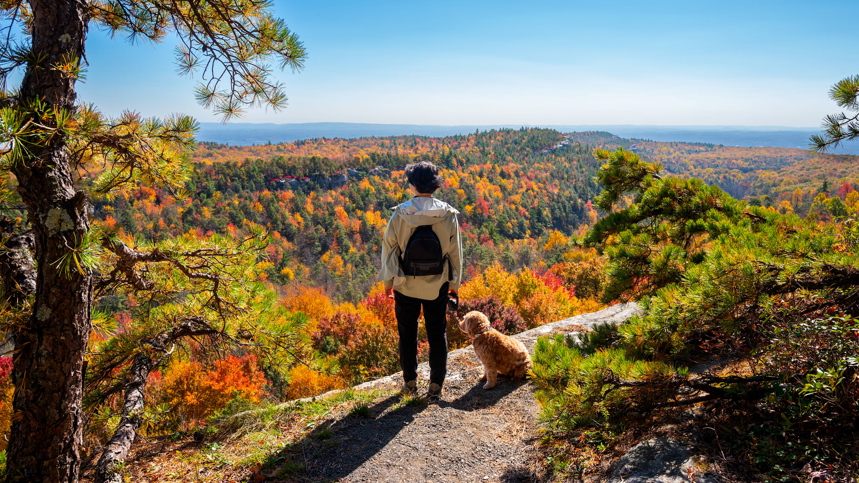 The Best State Parks for Hiking, According to Google Reviews