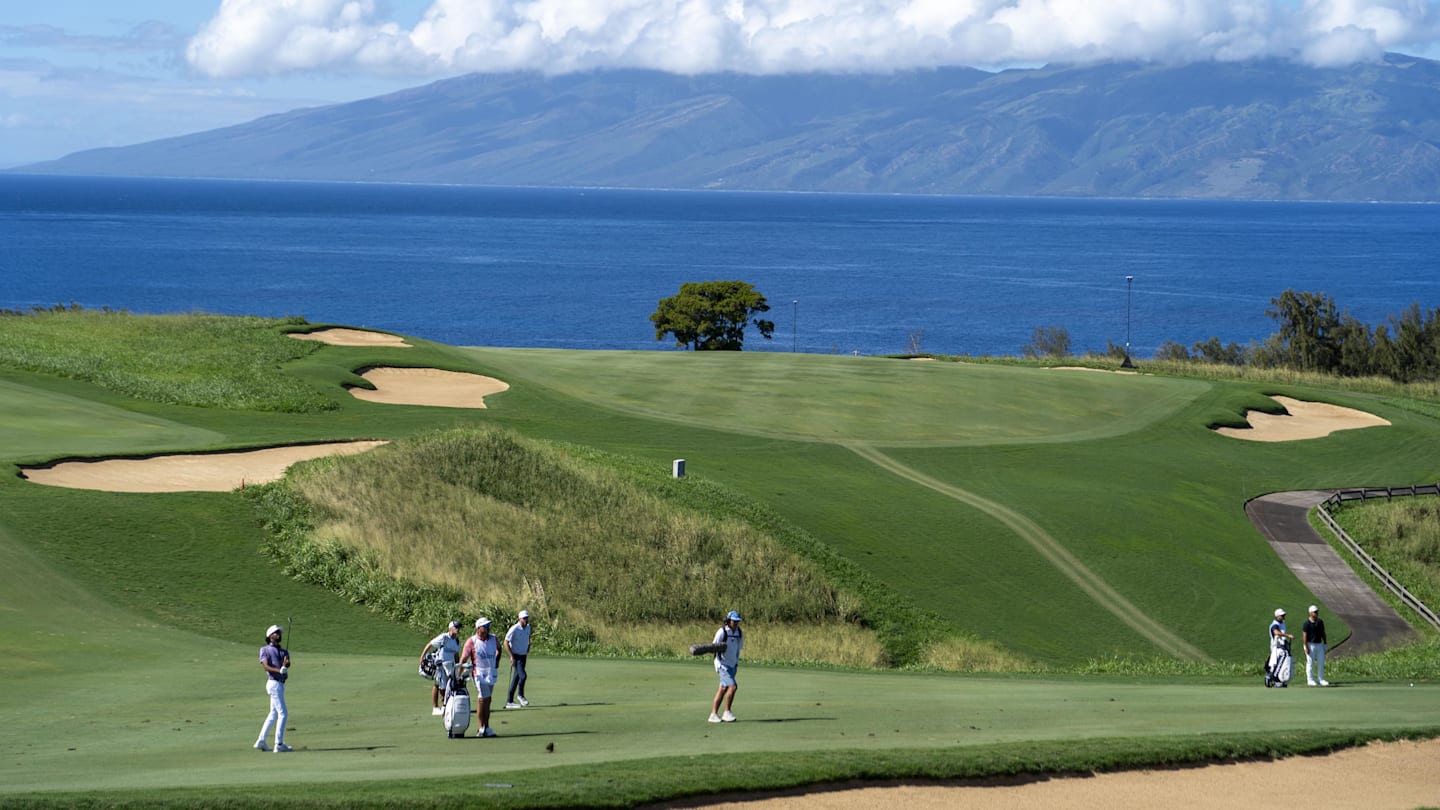 2025 Sentry Betting Preview Picks, Predictions and Odds for Kapalua