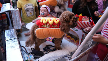 Halloween Dog Parade in NYC