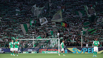 Geoffroy-Guichard