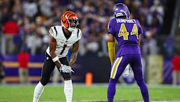 Cincinnati Bengals v Baltimore Ravens