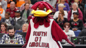 South Carolina Gamecocks mascot Cocky