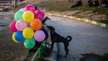India Gears For Valentine's Day Amid Rightwing 'Threats'