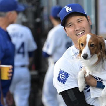 Shohei Ohtani has a dog named Decoy. 