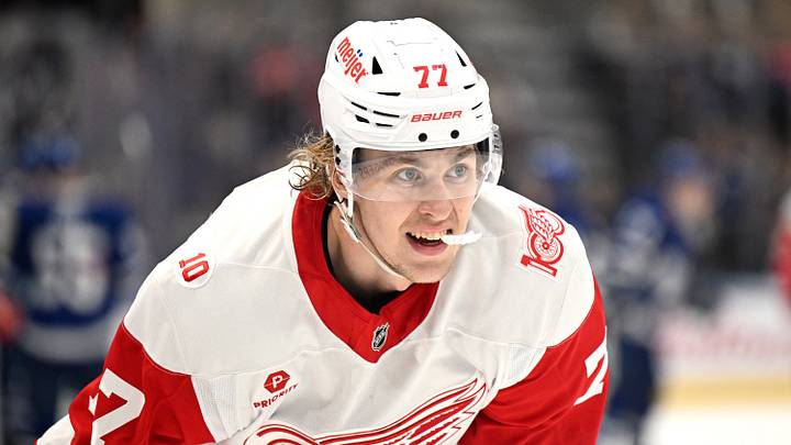Detroit Red Wings defenseman Simon Edvinsson  Credit: Dan Hamilton-Imagn Images