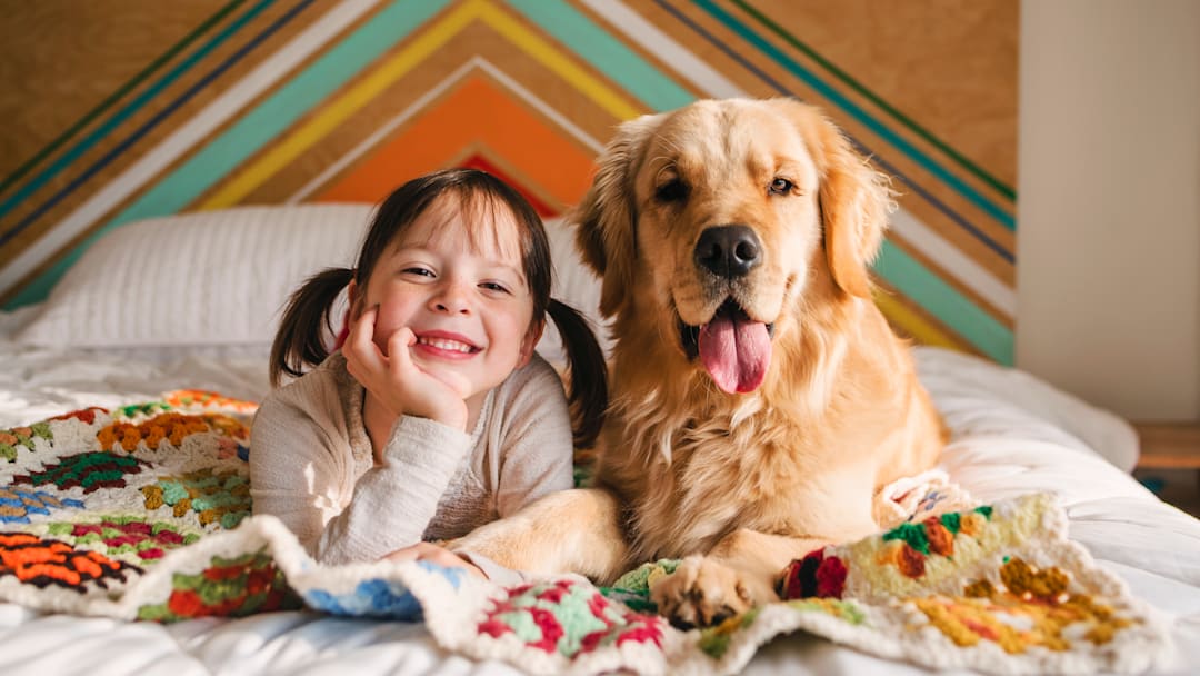 Golden retrievers have a very family-friendly reputation.