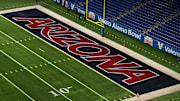 Dec 28, 2023; San Antonio, TX, USA; The Arizona Wildcats logo in the end zone at Alamodome. Mandatory Credit: Kirby Lee-Imagn Images