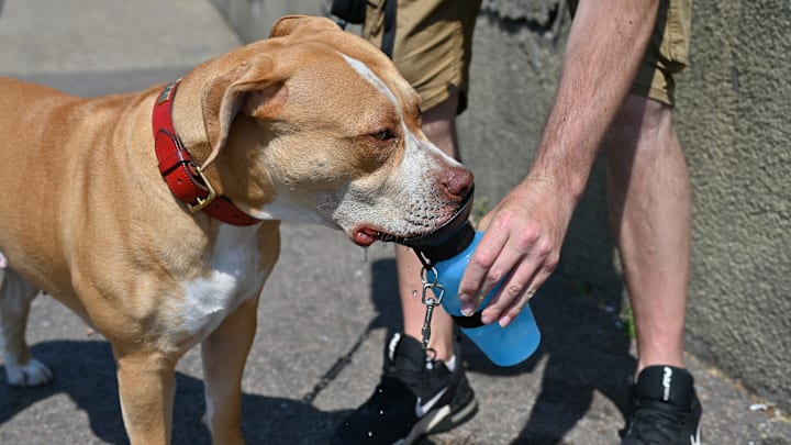 Heat Health Warnings In Place Across The UK For This Weekend Heat Health Warnings In Place Across The UK For This Weekend