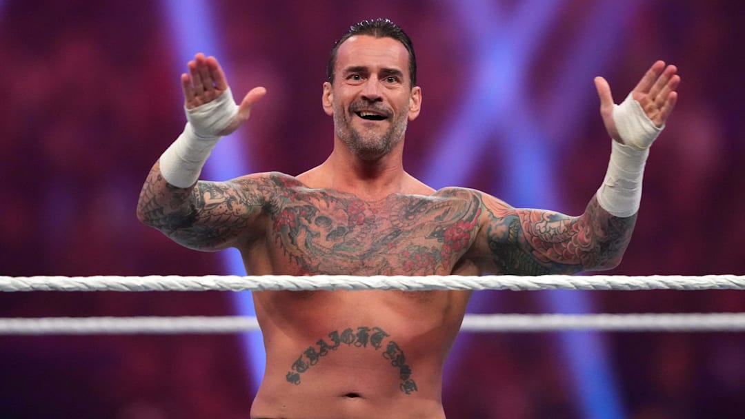Jan 27, 2024; St. Petersburg, FL, USA; CM Punk reacts during the Men   s Royal Rumble match at Tropicana Field. Mandatory Credit: Joe Camporeale-Imagn Images