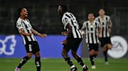 Botafogo busca segunda vitória consecutiva pela Libertadores