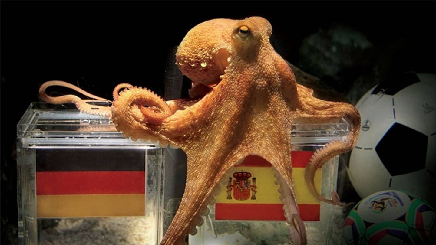 Del Pulpo Paul de Sudáfrica 2010… ¿Al Ajolote Paco en el Mun