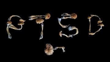 People are turning to psilocybin for PTSD. Is it working?
