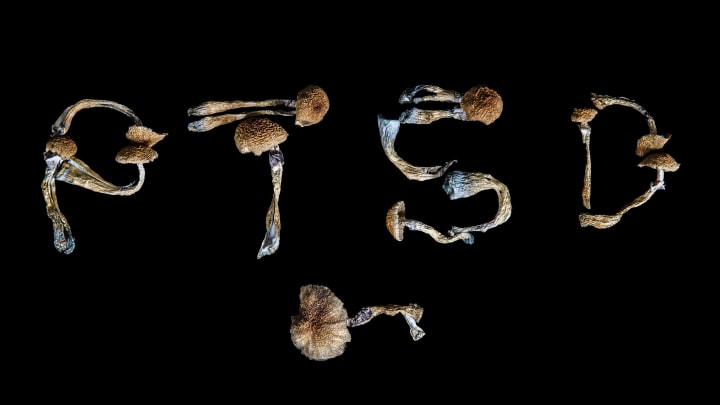 People are turning to psilocybin for PTSD. Is it working?