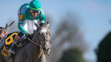 Gosger at Keeneland Racetrack