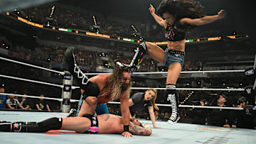WWE - Wrestlepalooza