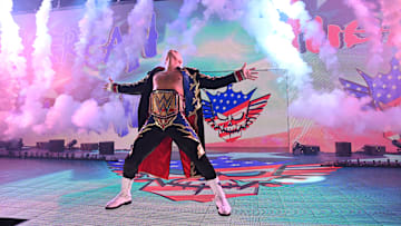 WWE - Wrestlepalooza