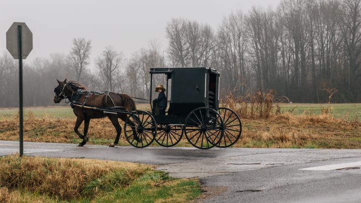 Not the only vehicle you'll find the Amish using. Not the only vehicle you'll find the Amish using.