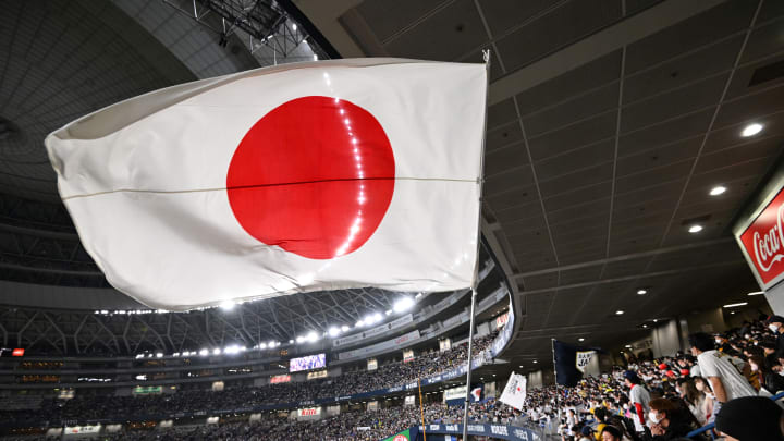 Don't worry, this really is the Japanese flag.