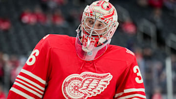 Toronto Maple Leafs v Detroit Red Wings