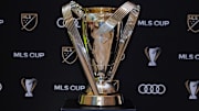 The final spots in the 2025 MLS Cup playoffs come down to the final matchday of the season. 