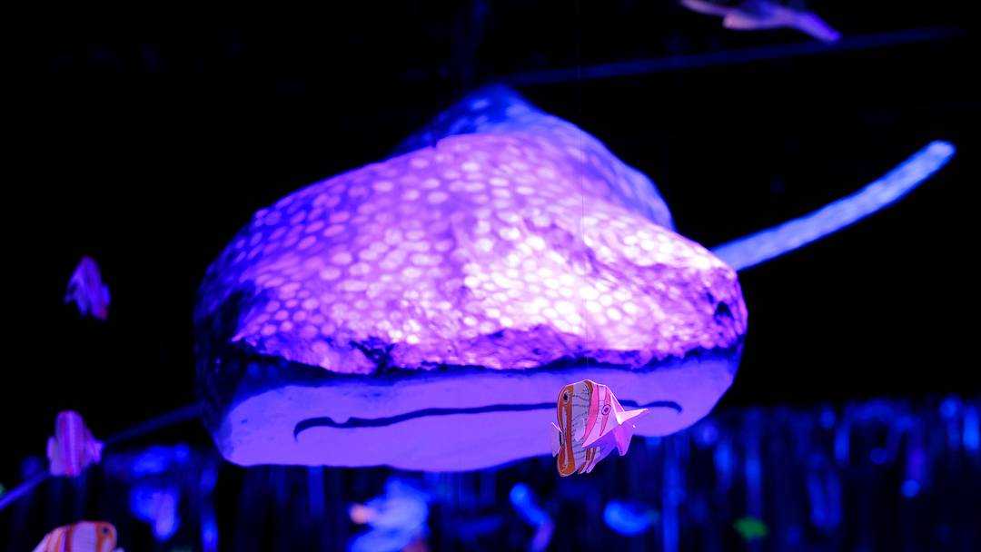 A massive whale shark "swim" among schools of fish in Factory Obscura's new "Seed Reef" temporary exhibition Wednesday, February 9, 2022. Created by local artists Emma Difani and Malcolm Zachariah, in collaboration with Factory Obscura, "Seed Reef" is an immersive, sculpted paper installation that recreates a coral reef. Seed Reef 11 