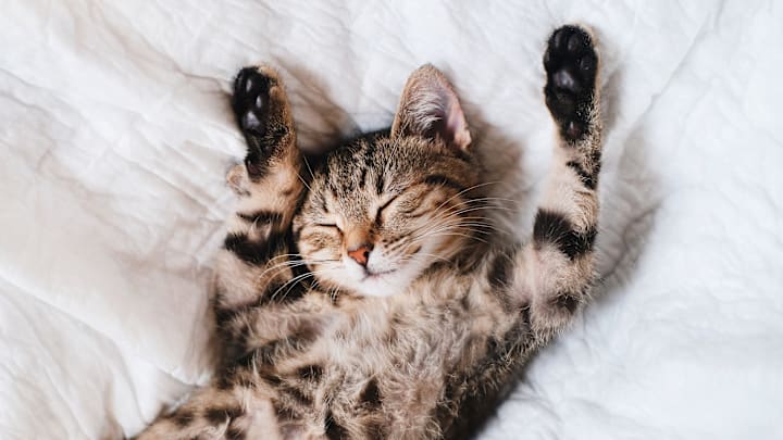 Nap time.
