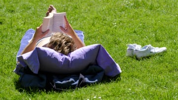 Man Reading A Book